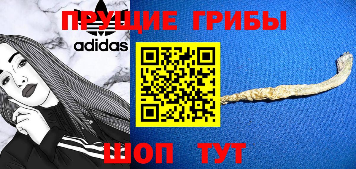 Галлюциногенные грибы Psilocybe  Псилоцибиновые грибы мухоморы  Ивантеевка  Вход с VPN 